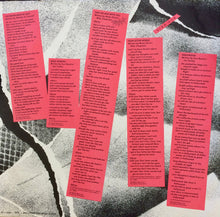 Load image into Gallery viewer, Suzi Quatro : Suzi... And Other Four Letter Words (LP, Album, Promo, Pit)
