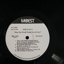 Load image into Gallery viewer, Tom Clay : What The World Needs Now Is Love (LP, Album, Pro)
