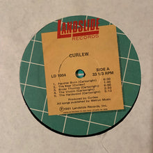 Charger l'image dans la galerie, Curlew : Curlew (LP, Album)
