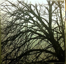 Load image into Gallery viewer, Donovan : Donovan's Greatest Hits (LP, Comp, Ter)
