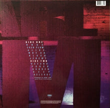 Load image into Gallery viewer, Pearl Jam : Ten (LP, Album, RE)
