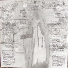 Load image into Gallery viewer, M. Ward : Transistor Radio (LP, Album)
