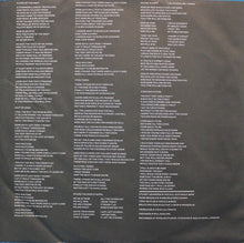 Load image into Gallery viewer, Big Country : Steeltown (LP, Album, Hau)
