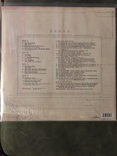 Laden Sie das Bild in den Galerie-Viewer, Turnpike Troubadours : A Long Way From Your Heart (2xLP, Album)
