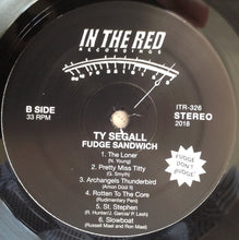 Load image into Gallery viewer, Ty Segall : Fudge Sandwich  (LP, Album)
