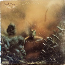 Laden Sie das Bild in den Galerie-Viewer, Steely Dan : Katy Lied (LP, Album, Club, Ind)
