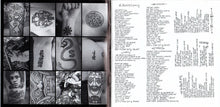 Load image into Gallery viewer, Red Hot Chili Peppers : Blood Sugar Sex Magik (CD, Album)
