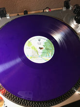Load image into Gallery viewer, ZZ Top : Tejas (LP, Album, Ltd, RE, RP, Pur)
