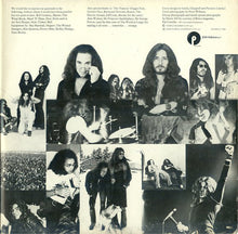 Load image into Gallery viewer, Deep Purple : Come Taste The Band (LP, Album, Gat)
