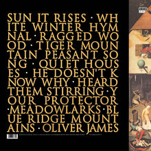 Load image into Gallery viewer, Fleet Foxes : Fleet Foxes (LP, Album + 12", EP + Gat)
