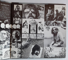 Load image into Gallery viewer, The Byrds : Byrdmaniax (LP, Album, Gat)
