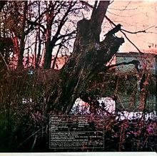 Load image into Gallery viewer, Black Sabbath : Black Sabbath (LP, Album, San)

