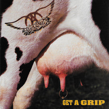 Charger l&#39;image dans la galerie, Aerosmith : Get A Grip (CD, Album, Club, RE)
