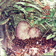 Load image into Gallery viewer, Brick : Stoneheart (LP, Album)
