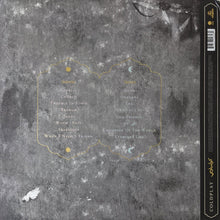 Charger l'image dans la galerie, Coldplay : Everyday Life (2xLP, Album, Ltd, Gol)
