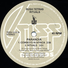 Load image into Gallery viewer, Bush Tetras : Rituals (12")
