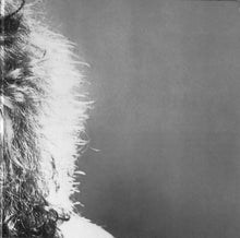 Laden Sie das Bild in den Galerie-Viewer, Carly Simon : Spy (LP, Album, Gat)
