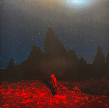 Charger l'image dans la galerie, Phoebe Bridgers : Punisher (LP, Album)
