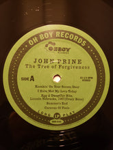 Laden Sie das Bild in den Galerie-Viewer, John Prine : The Tree Of Forgiveness (LP, Album, RE)
