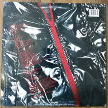 Charger l'image dans la galerie, The Babys : Union Jacks (LP, Album)
