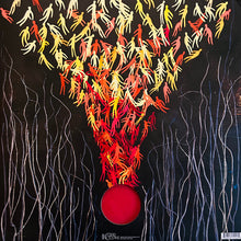 Load image into Gallery viewer, Bright Eyes : Down In The Weeds, Where The World Once Was (LP, Red + LP, S/Sided, Etch, Ora + Album, Ltd)

