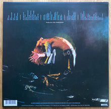 Laden Sie das Bild in den Galerie-Viewer, Van Halen : Van Halen (LP, Album, RE, RM, 180)
