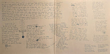 Load image into Gallery viewer, Rilo Kiley : Rilo Kiley (LP, Ltd, RE, Cre)
