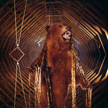Load image into Gallery viewer, My Morning Jacket : It Still Moves (2xLP, Album)
