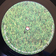 Load image into Gallery viewer, David Byrne &amp; Brian Eno : Everything That Happens Will Happen Today (LP, Album)
