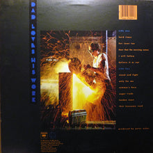 Laden Sie das Bild in den Galerie-Viewer, James Taylor (2) : Dad Loves His Work (LP, Album, Ter)
