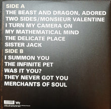 Laden Sie das Bild in den Galerie-Viewer, Spoon : Gimme Fiction (LP, Album, RE, RM)
