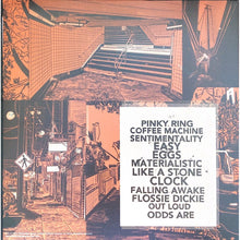 Load image into Gallery viewer, Remember Sports : Like a Stone (LP, Album, Eco)
