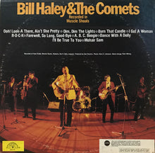 Load image into Gallery viewer, Bill Haley &amp; The Comets* : R-O-C-K (LP, Album)
