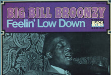 Laden Sie das Bild in den Galerie-Viewer, Big Bill Broonzy : Feelin' Low Down (LP, Album, RE)
