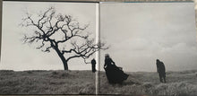 Laden Sie das Bild in den Galerie-Viewer, The Smashing Pumpkins : Adore (2xLP, Album, RE, RM, MAS)
