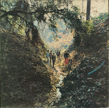 Load image into Gallery viewer, The Rolling Stones : Big Hits (High Tide And Green Grass) (LP, Comp, Mono, Mon)
