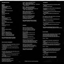 Laden Sie das Bild in den Galerie-Viewer, FM (3) : Black Noise (LP, Album)
