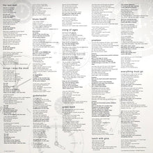 Load image into Gallery viewer, Steely Dan : Everything Must Go (LP, Album, RSD, Ltd, RE, 180)
