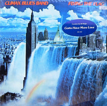 Load image into Gallery viewer, Climax Blues Band : Flying The Flag (LP, Album, Los)
