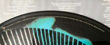 Load image into Gallery viewer, System Of A Down : Hypnotize (LP, Album, Ltd, Pic)

