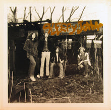 Laden Sie das Bild in den Galerie-Viewer, Sleepy John : Sleepy John (LP, Album, Bro)
