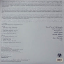 Load image into Gallery viewer, Junior Kimbrough And The Soul Blues Boys : Sad Days Lonely Nights (LP, Album, RE)
