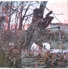 Load image into Gallery viewer, Black Sabbath : Black Sabbath (LP, Album, Pit)
