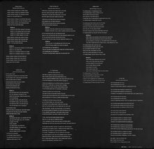 Laden Sie das Bild in den Galerie-Viewer, Bob Dylan : Under The Red Sky (LP, Album)
