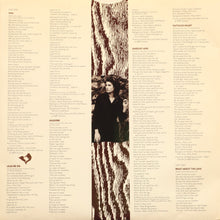 Load image into Gallery viewer, Amy Grant : Lead Me On (LP, Album)
