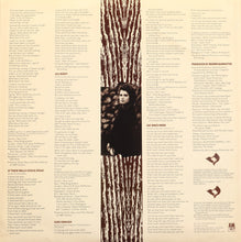 Load image into Gallery viewer, Amy Grant : Lead Me On (LP, Album)
