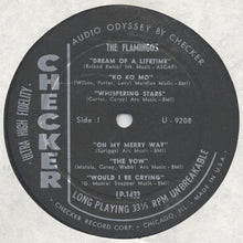 Laden Sie das Bild in den Galerie-Viewer, The Flamingos : Flamingos (LP)
