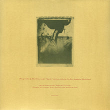 Load image into Gallery viewer, Pixies : Surfer Rosa (LP, Album, RE, 180)
