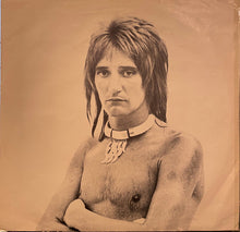 Laden Sie das Bild in den Galerie-Viewer, Rod Stewart : A Night On The Town (LP, Album, Ter)
