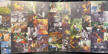 Load image into Gallery viewer, Big Thief : Dragon New Warm Mountain I Believe In You (2xLP, Album, Ran)
